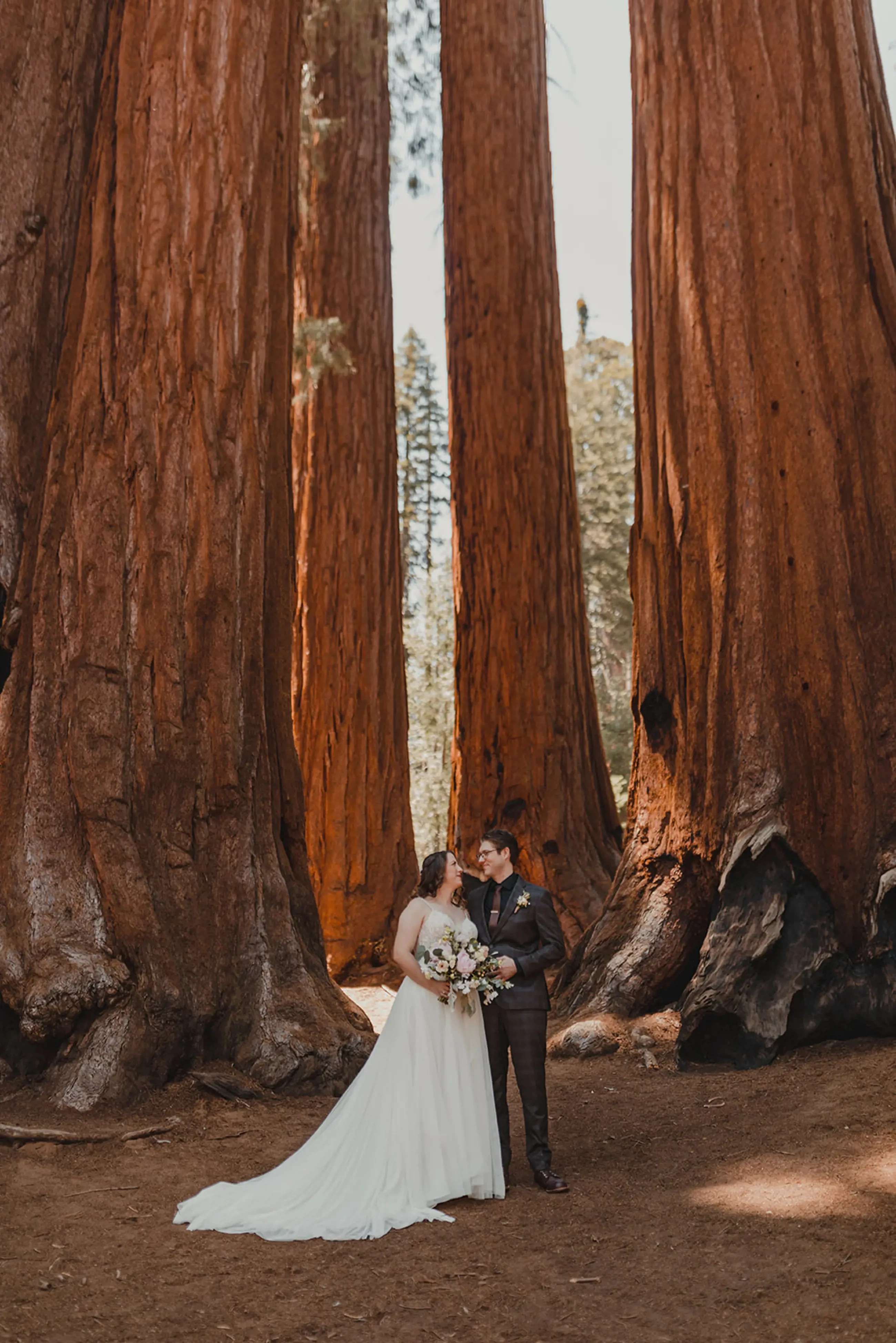 Сouple wearing a white gown and a black suit near the big tree